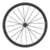 Roue Arrière Mavic Cosmic Pro Carbon SL Pour Tubulaire