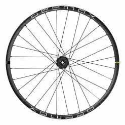 Roue Arrière Mavic Deemax 29' 21 Disc IS-6 Bot Axe Traversant 12x148 Mm BOOST