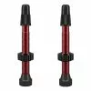 Kit De Valves WTB TCS 46 Mm Aluminium Rouge