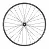 Roue Avant Shimano RS171 Disc Thru Essieu 12/100mm Center Lock -Plateaux Vélo populaire boutique whrs171fed70b